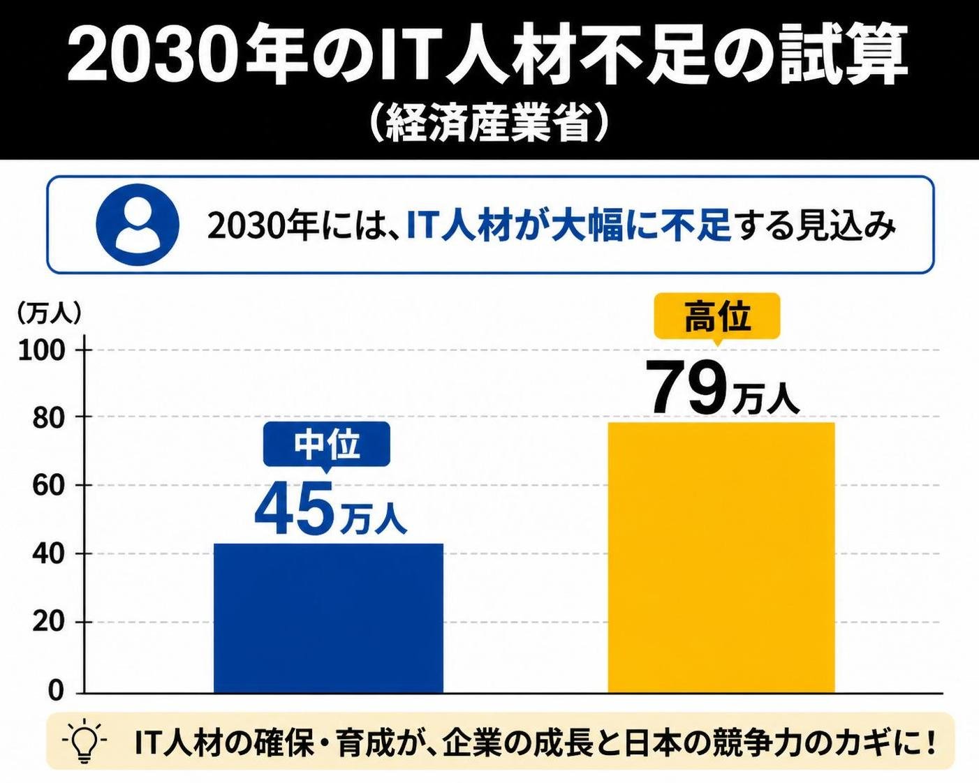 【縦棒作成】2030年のIT人材不足の試算（経済産業省）。中位:45万人 / 高位:79万人
